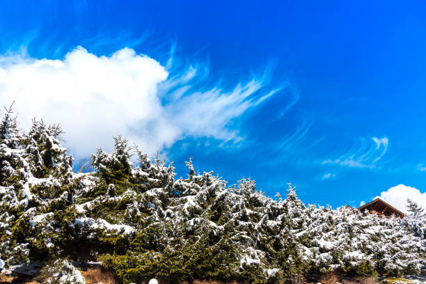 istock Morning in Dolomites mountains 918464120