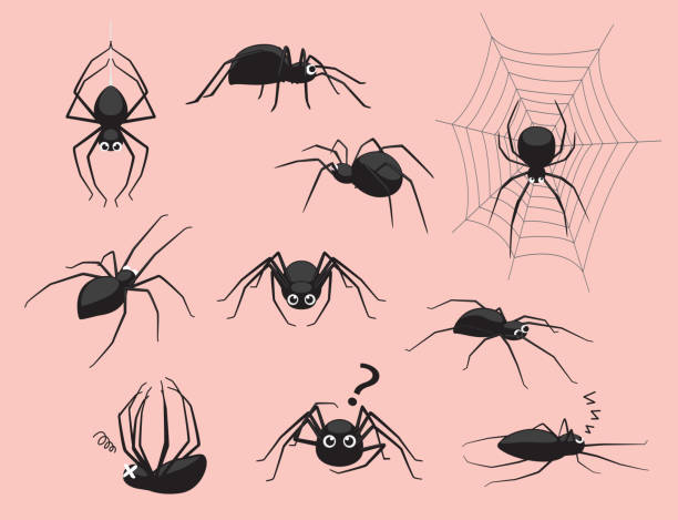 spinne schwarz stellt niedlichen cartoon-vektor-illustration - spider stock-grafiken, -clipart, -cartoons und -symbole