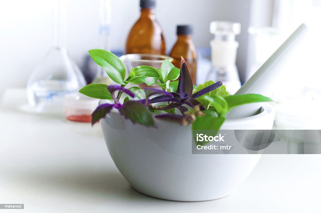 Pilão e Almofariz com plantas aromáticas - Royalty-free Agricultura Foto de stock