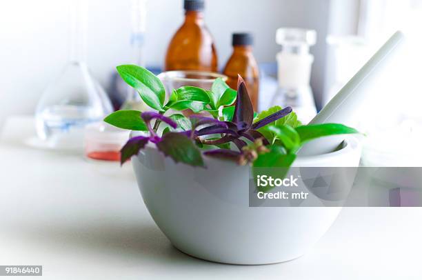 Pilão E Almofariz Com Plantas Aromáticas - Fotografias de stock e mais imagens de Agricultura - Agricultura, Biologia, Botânica - Ciência de plantas