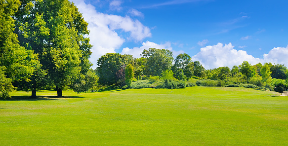 Summer park with deciduous trees and broad lawns. In the blue sky, light cumulus clouds. Wide photo.