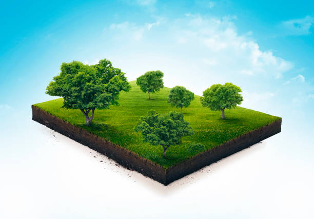 istock 3d illustration of a soil slice, green meadow with trees isolated on white 918470204