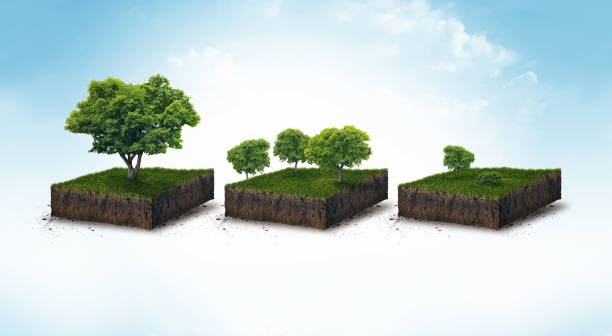 istock 3d illustration of a soil slice, green meadow with trees isolated on white 918470206