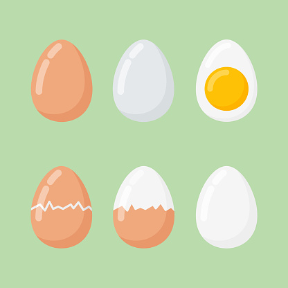 Set of raw and boiled eggs isolated on green background. Flat style vector illustration.