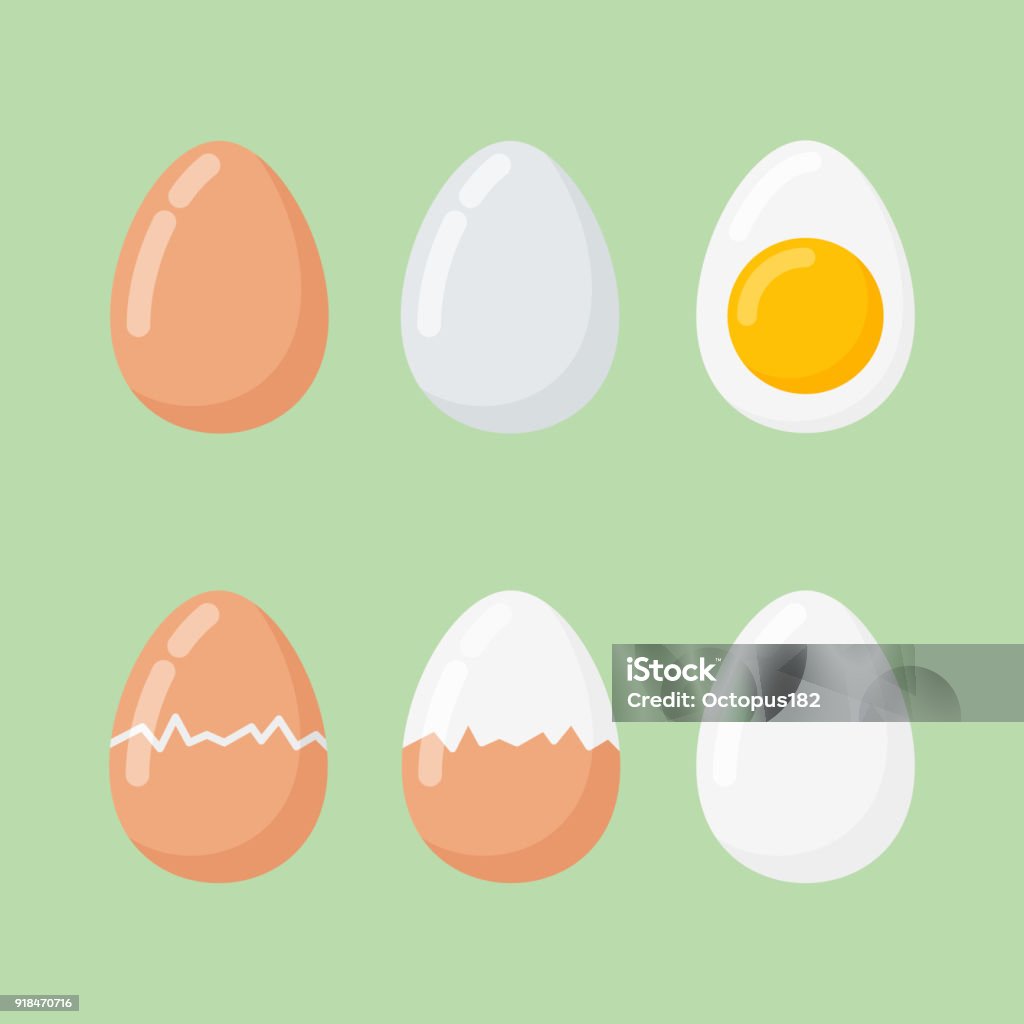 Set of raw and boiled eggs isolated on green background. Set of raw and boiled eggs isolated on green background. Flat style vector illustration. Animal Egg stock vector