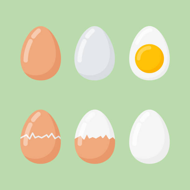 Set of raw and boiled eggs isolated on green background. Set of raw and boiled eggs isolated on green background. Flat style vector illustration. half full illustrations stock illustrations