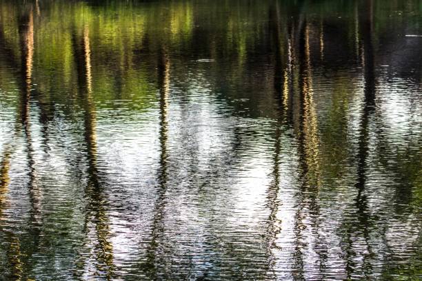 istock Pond, Tsavo National Park - Kenya 918473818