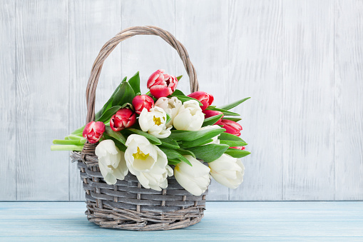 Colorful tulips bouquet basket in front of wooden wall. Easter card. With space for your greetings