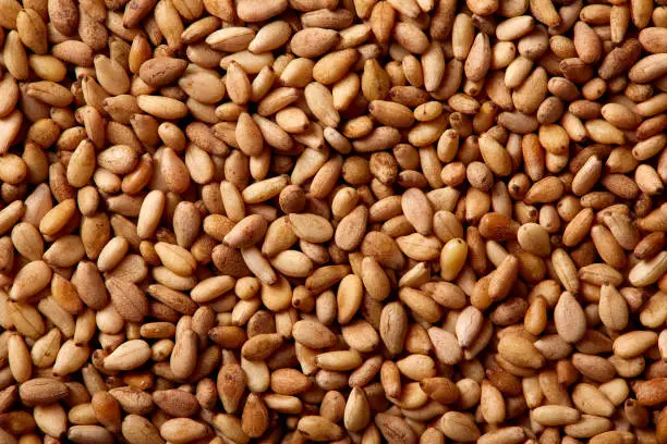 Sesame seeds texture macro detail background