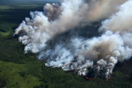 The View of wildfire on height of the flight of the bird.