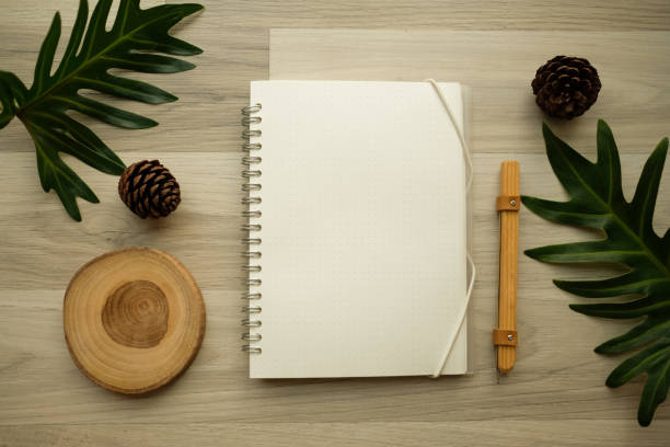istock flat lay natural product concept , copy space. creative layout . organic frame . top view. isolated. hipster minimal style with nature background. 918480920