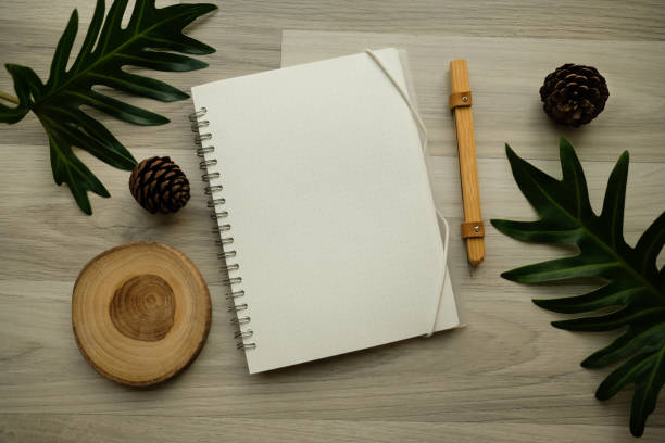 istock flat lay natural product concept , copy space. creative layout . organic frame . top view. isolated. hipster minimal style with nature background. 918480922