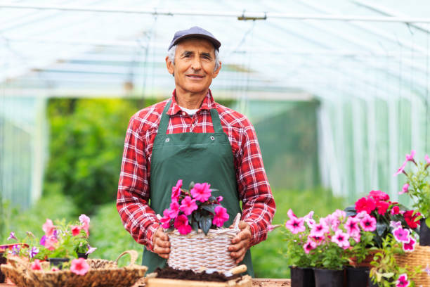 istock Senior man gardening 918481706