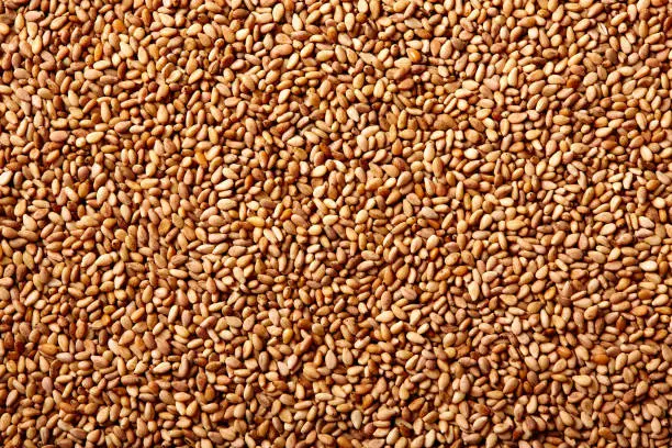 Sesame seeds texture macro detail background
