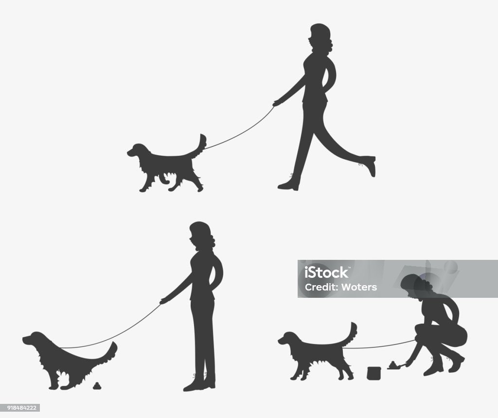 Silhouette of woman walking a dog. Silhouette of woman walking a dog. Golden retriever is pooping. Girl is cleaning after a dog. Set of vector illustrations. Adult stock illustration