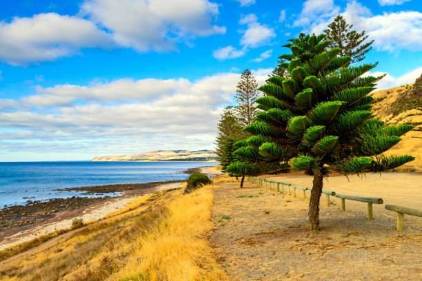 istock Scenic sunset view from Normanville Beach Foreshore 918488944