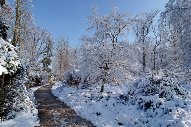 istock Barbizon village under snow 918489606