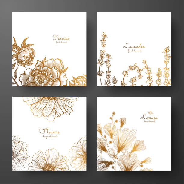 Gold collection of cards design with peonies, lavender, chamomile and leaves of ginkgo biloba. Template frame for birthday and greeting card, wedding invitation, flyer, package design. Gold collection of cards design with peonies, lavender, chamomile and leaves of ginkgo biloba. Template frame for birthday and greeting card, wedding invitation, flyer, package design. gold colored illustrations stock illustrations