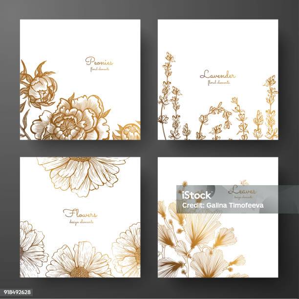 Gold Collection Of Cards Design With Peonies Lavender Chamomile And Leaves Of Ginkgo Biloba Template Frame For Birthday And Greeting Card Wedding Invitation Flyer Package Design Stock Illustration - Download Image Now