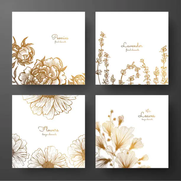 Vector illustration of Gold collection of cards design with peonies, lavender, chamomile and leaves of ginkgo biloba. Template frame for birthday and greeting card, wedding invitation, flyer, package design.