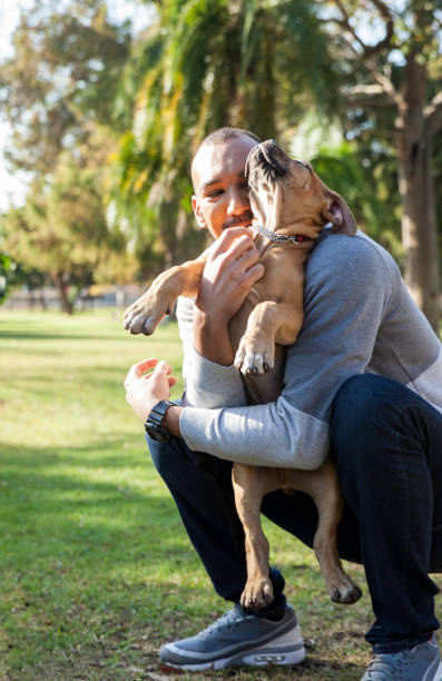istock Young man scratching his puppy's chest in the park. 918493106