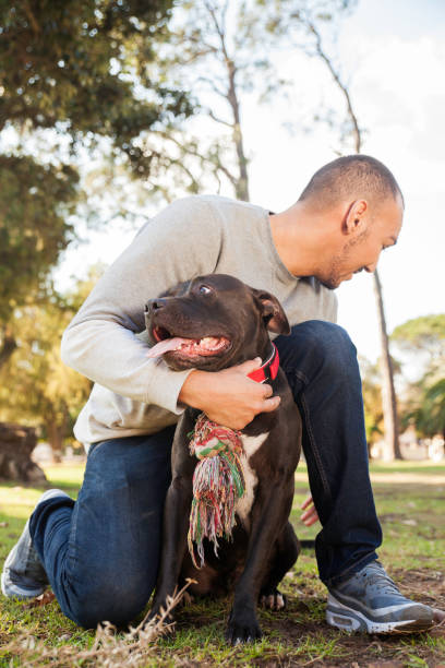 istock Young man playing with his pit bull at the park. 918494214