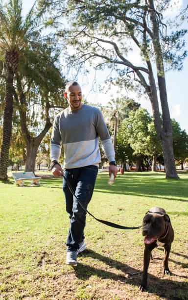 istock Young man walking his adorable dog through the park. 918502096