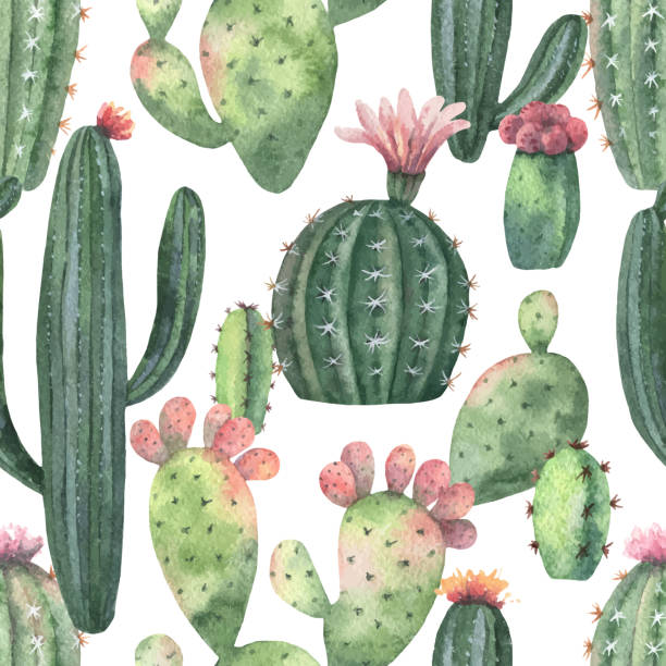 istock Watercolor vector seamless pattern of cacti and succulent plants isolated on white background. 918502560