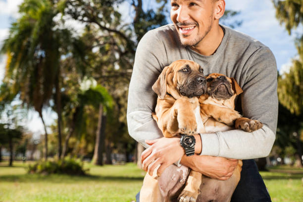istock Young man loving his adorable puppies while playing at the park. 918504898
