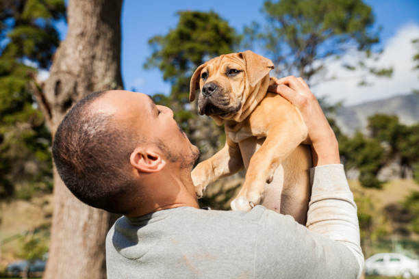 istock Young man lifting his dog in the air while playing at the park. 918504958