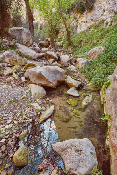 istock Sunlit rocks of Avakas Gorge in Cyprus 918509162