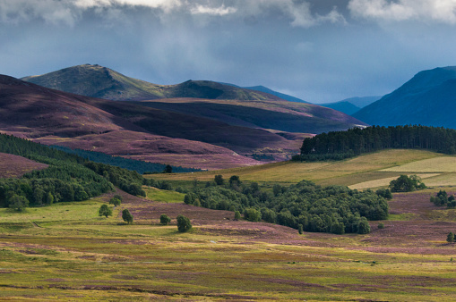 Landscape east of Aviemore. Photo was taken near Tormintoul, along the A939, looking in the direction of ben MacDhui.