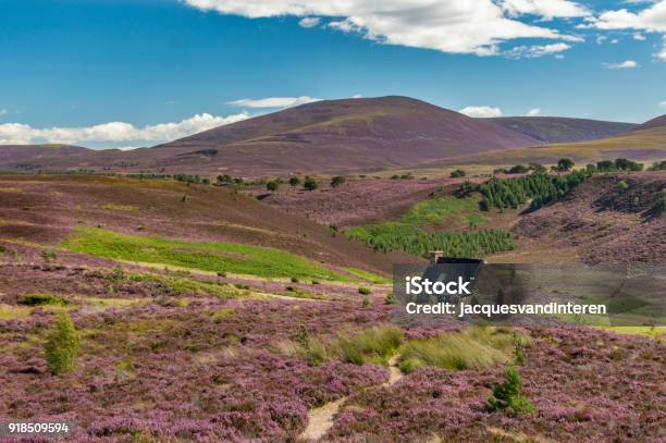 Shed Shelter Of The Authority Of The Cairngorms National Park Scotland Stock Photo - Download Image Now