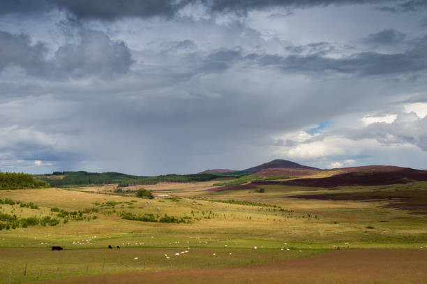 istock Cairngorms National Park, Scotland 918512012