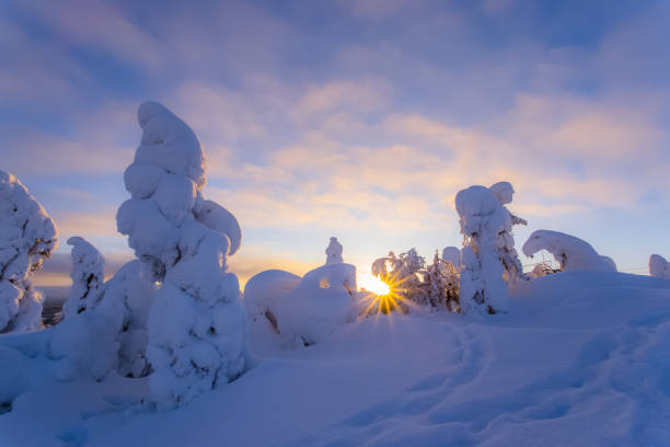 istock Winter landscape from Sotkamo, Finland. 918515822