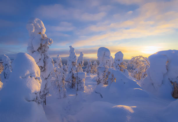 istock Winter landscape from Sotkamo, Finland. 918515852