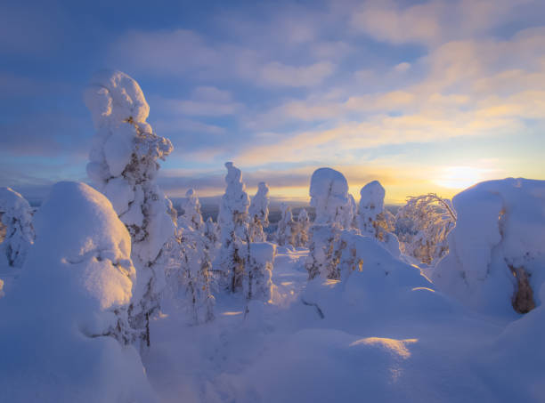 istock Winter landscape from Sotkamo, Finland. 918515864
