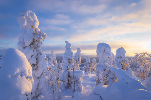 istock Winter landscape from Sotkamo, Finland. 918515892