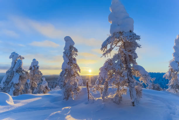 istock Winter landscape from Sotkamo, Finland. 918515974