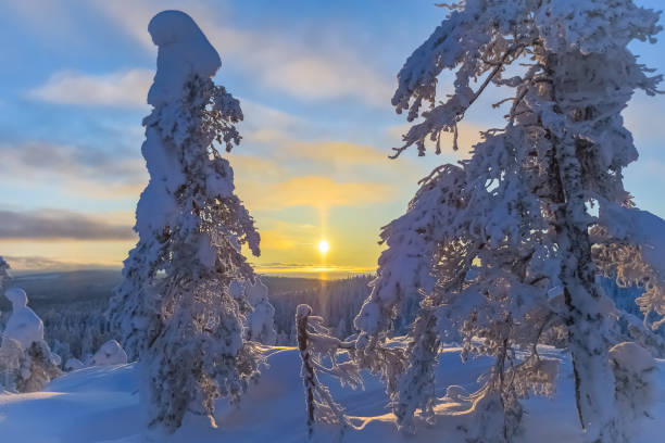 istock Winter landscape from Sotkamo, Finland. 918515988