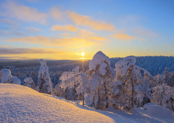 istock Winter landscape from Sotkamo, Finland. 918516004