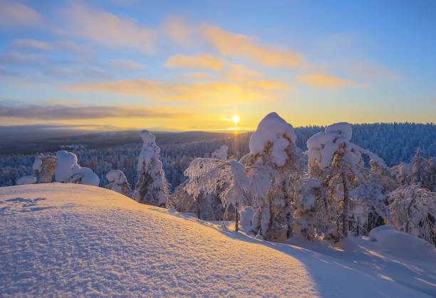 istock Winter landscape from Sotkamo, Finland. 918516016