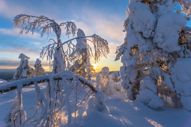 istock Winter landscape from Sotkamo, Finland. 918516070
