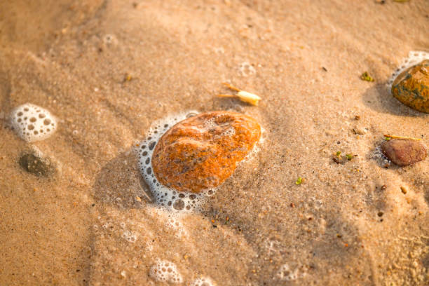 istock Sandy beach with foam of the surf 918517554
