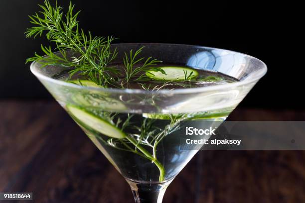 Fresh Dill Martini Cocktail With Cucumber Slices Stock Photo - Download Image Now - Alcohol - Drink, Celebration, Cocktail