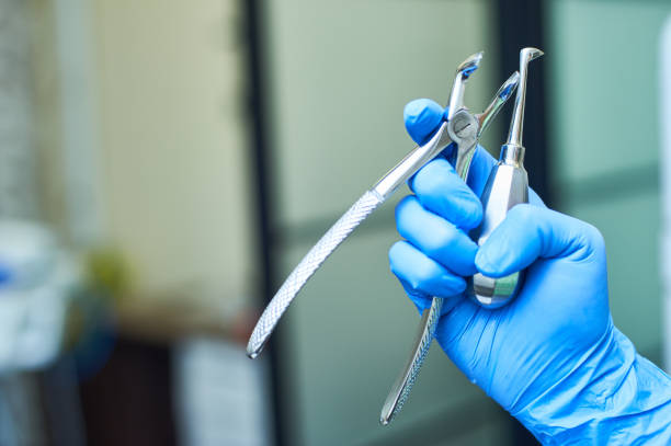 istock Hand in medical glove holding Dental forceps. 918522476