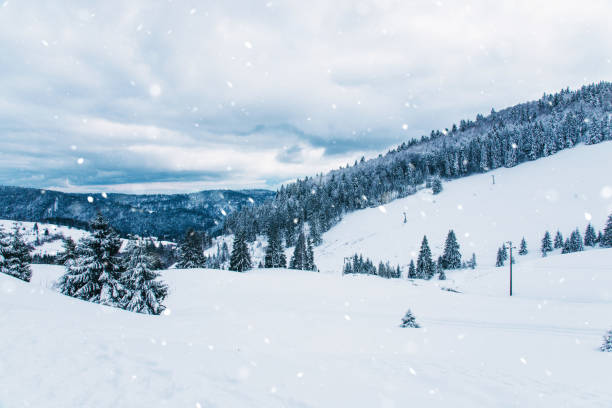 istock Winter landscape in the mountains 918526106