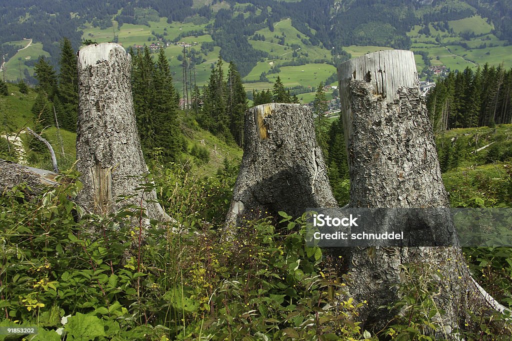 Góry w Bawarii-Niemcy. - Zbiór zdjęć royalty-free (Allgäu)