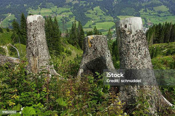 Góry W Bawariiniemcy - zdjęcia stockowe i więcej obrazów Allgäu - Allgäu, Bawaria, Bez ludzi