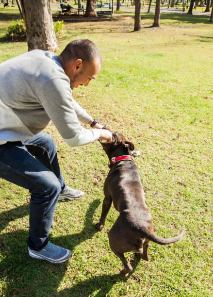 istock Young man playing with his dog in the park. 918536998